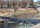 Santa María de Punilla: investigan la muerte de una mujer hallada en la costanera del río