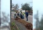 El municipio avanza con la campaña de recolección de hojas en todos los barrios