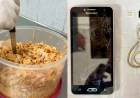  incautaron celular en un tupper con fideos mientras lo intentaban meter a la cárcel