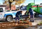 Continúa la campaña de recolección de hojas en distintos barrios de la ciudad