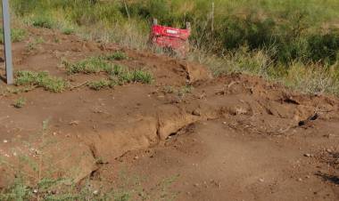 Accidentes, robos y hasta el ataque a una mascota entre los hechos policiales 