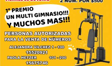 Rifa solidaria, Ayudemos a los gatitos callejeros 