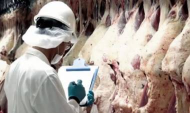 El Gobierno cerró la exportación de carne por 15 días para negociar precios