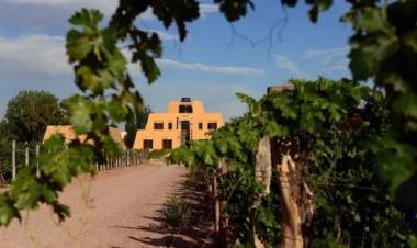 Un turista brasileño sufrió graves lesiones tras caer de una terraza en Mendoza