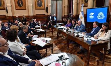 Ley de Alquileres: no se logró dictamen en Senadores y seguirá la discusión