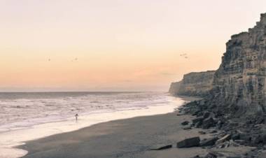 Viedma: restringen acceso en playas por casos de gripe aviar en lobos marinos