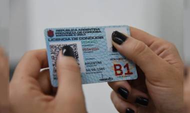 Licencias de conducir: se reanuda la atención al público