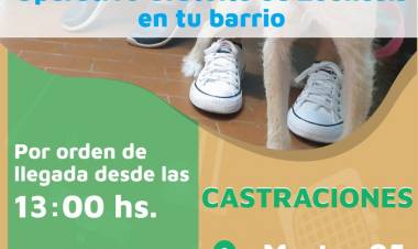 Continúa el  “Operativo de Zoonosis en tu barrio” 