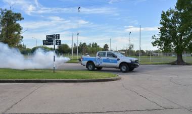 Lucha contra el dengue: La municipalidad intervino en más de 7.000 domicilios