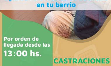 Se retoma la campaña gratuita 2024 de castraciones y vacunación antirrábica