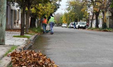 Continúa la campaña de recolección de hojas en la vía pública