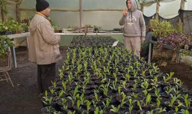Visita al vivero forestal y vivero inclusivo de recreo 
