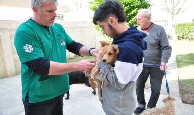 El municipio retoma desde mañana miércoles la Campaña de Vacunación Antirrábica 