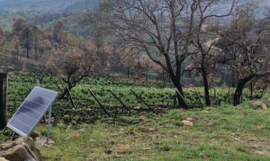 Incendios: localidades afectadas avanzan para construir Centros Comerciales a Cielo abierto