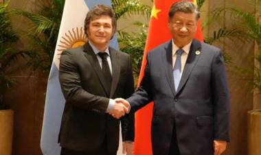 Pese a las críticas contra China, Milei se reunió con Xi Jinping en el G20 en Brasil