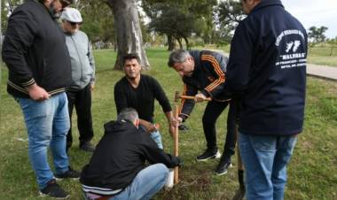 Con ayuda de Veteranos de Malvinas, se plantaron 40 árboles en la Costanera Norte