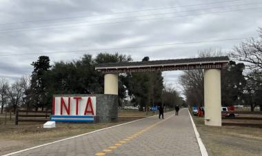 Pese al rechazo en Diputados, Milei avanza con la reducción de la estructura del INTA
