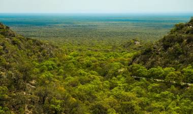 Abren las convocatorias del Programa de Pago por Servicios Ambientales para la conservación del bosque nativo