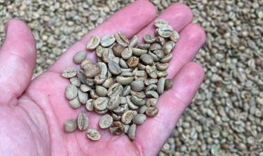 Otras dos empresas cordobesas recibieron los beneficios de la promoción industrial