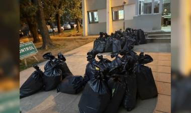 Gendarmería incautó una tonelada de sábalos trasladados de manera irregular en un camión