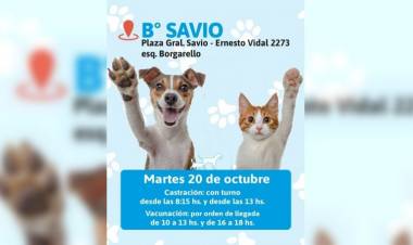 Nueva jornada de vacunación y castración gratuita para perros y gatos en barrio Savio
