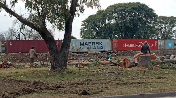 En terrenos del ferrocarril ya se construye un nodo logístico para aumentar las exportaciones hacia Medio Oriente y favorecer a la producción