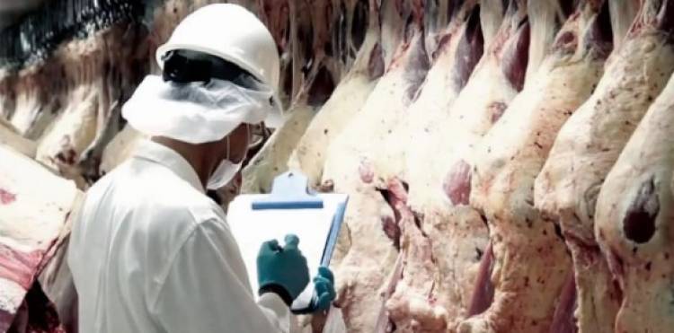 El Gobierno cerró la exportación de carne por 15 días para negociar precios