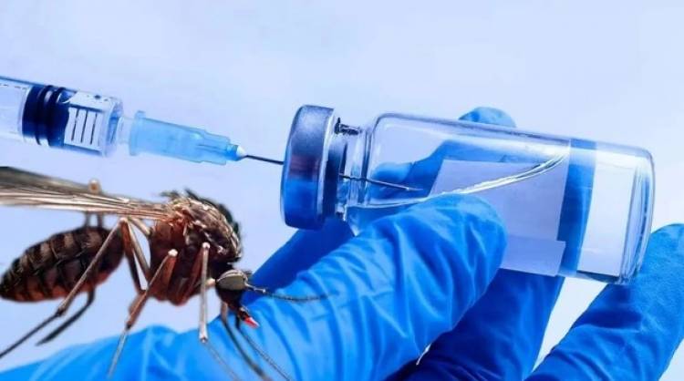 Científicos argentinos avanzan en el desarrollo de un kit para diagnosticar dengue