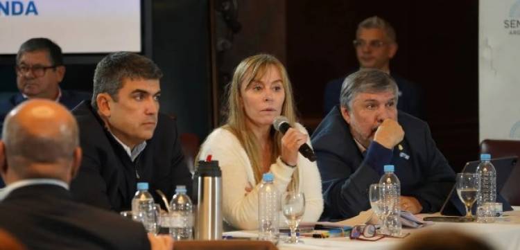 Ley Bases: el oficialismo no pudo sacar dictamen y el debate seguirá la próxima semana