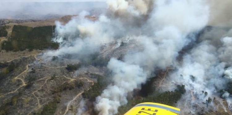 Declaran el Estado de Alerta Ambiental por riesgo de incendios en la provincia