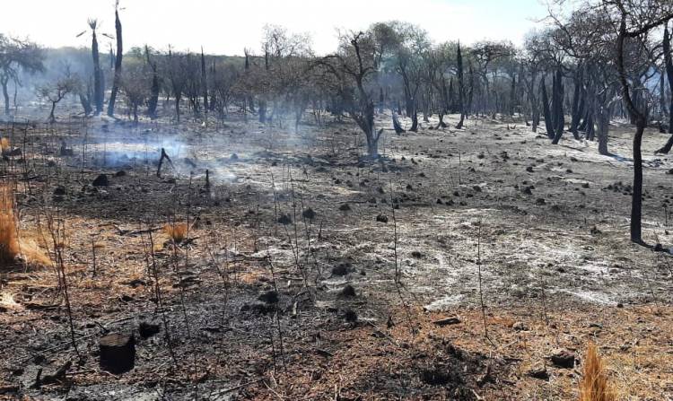 Cuatro incendios se mantienen en guardia de cenizas