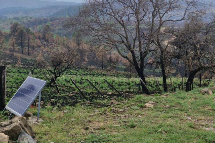 Incendios: localidades afectadas avanzan para construir Centros Comerciales a Cielo abierto