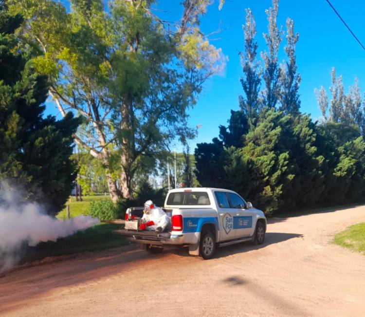 Dengue: “Se está haciendo un buen trabajo para demorar el crecimiento poblacional del mosquito”