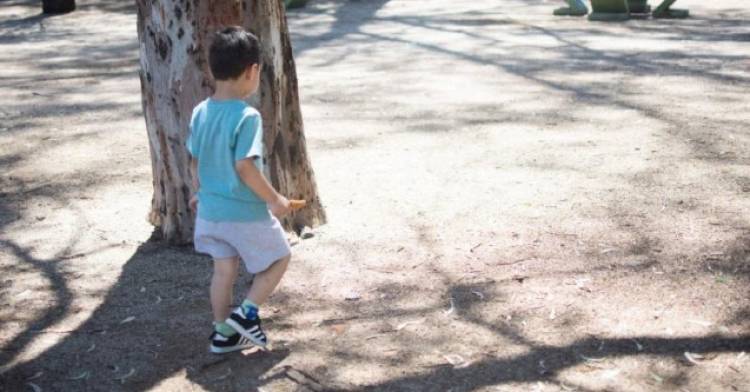 La Justicia de Córdoba lanzó una convocatoria pública para adoptar a un niño de tres años