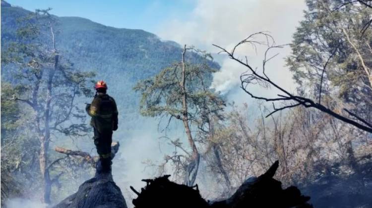 Incendios en El Bolsón: cuatro de los seis focos están en fase de enfriamiento