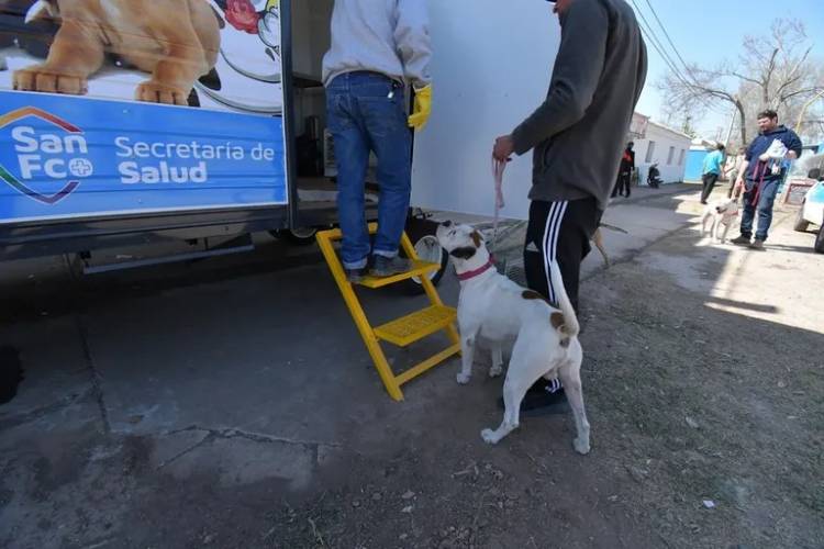 Campaña de castración: el móvil llega a los barrios Vélez Sarsfield, Savio y Maipú