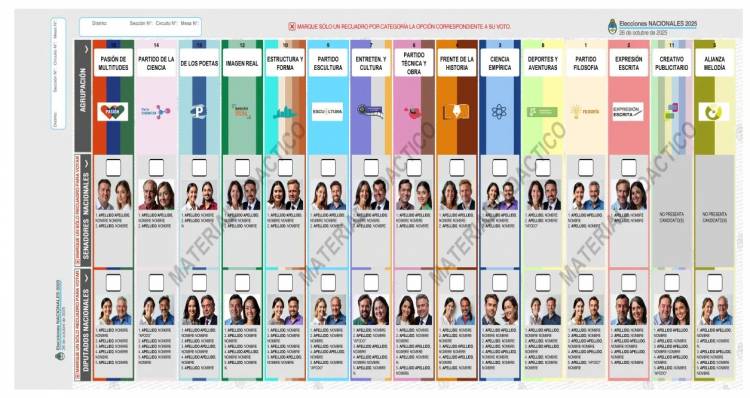 Revés judicial para el oficialismo: la Cámara Electoral ordenó que los resultados se informen por distritos