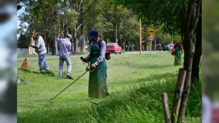 Continúan los trabajos en el área de Servicios Públicos
