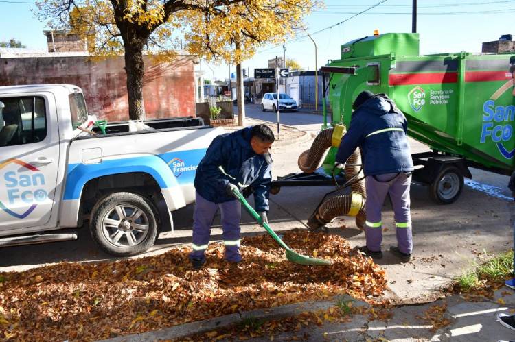 Continúa la campaña de recolección de hojas en distintos barrios de la ciudad