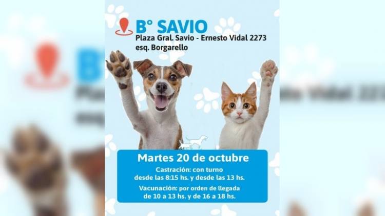 Nueva jornada de vacunación y castración gratuita para perros y gatos en barrio Savio