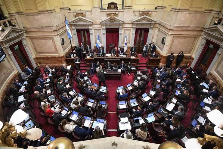 El Senado debate hoy la Ley de Salud Mental, que habilita internaciones involuntarias